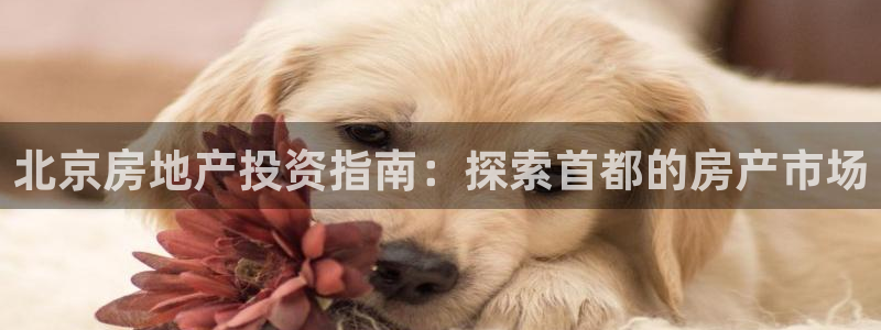 J9国际网站
