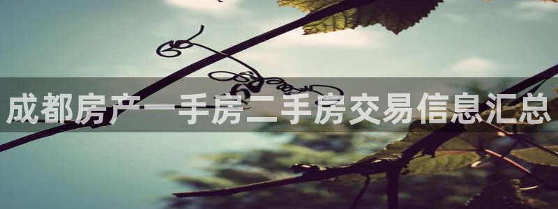 九游官方网址是什么